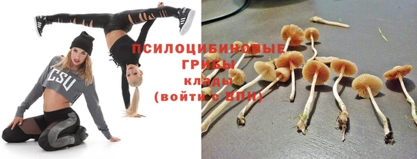 твердый Армянск