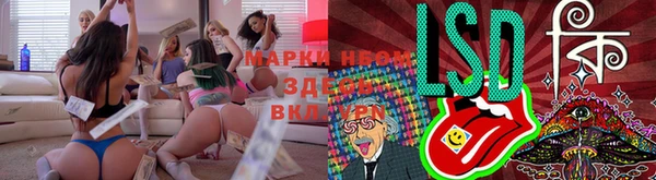 a pvp Аркадак
