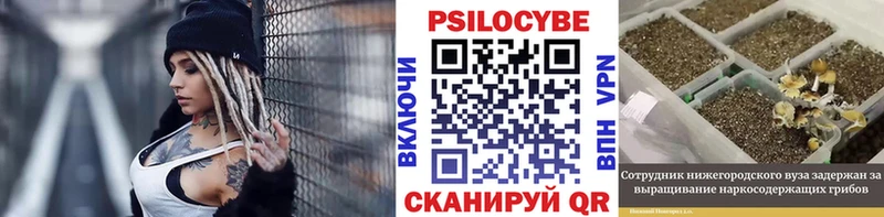 Галлюциногенные грибы GOLDEN TEACHER  Рошаль 